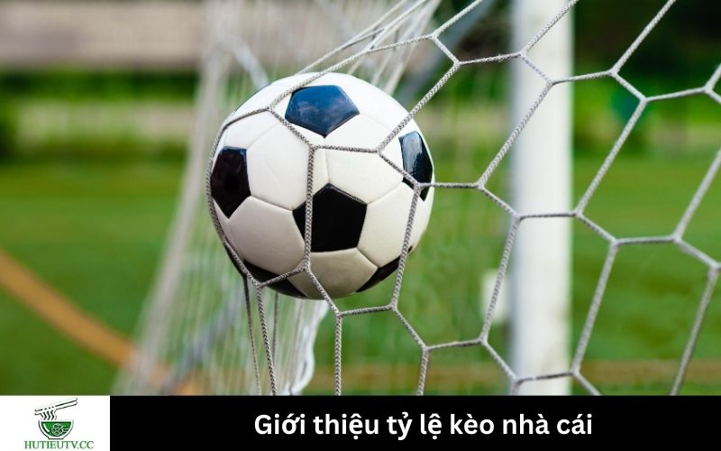 Giới thiệu tỷ lệ kèo nhà cái